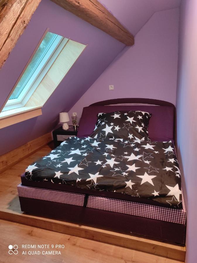 Apartmán u Rybáků v Pošumaví Volenice  Esterno foto