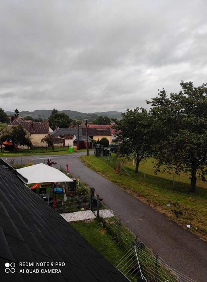 Apartmán u Rybáků v Pošumaví Volenice  Esterno foto