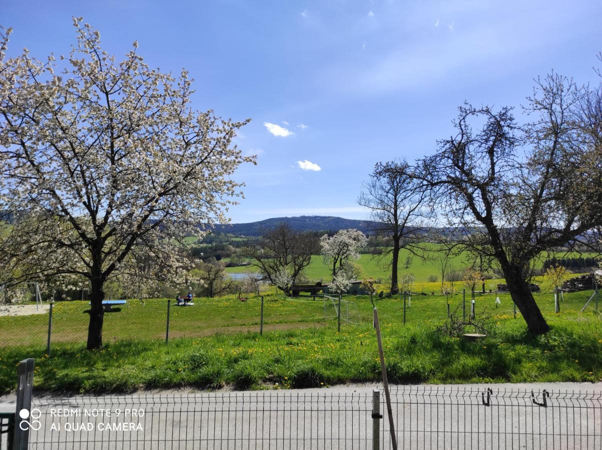 Apartmán u Rybáků v Pošumaví Volenice  Esterno foto